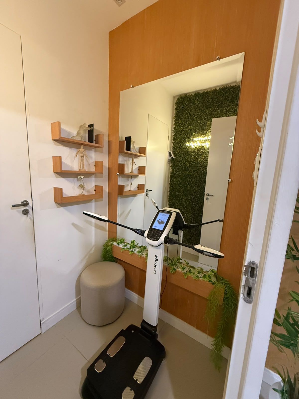 Bioimpedância InBody no Instituto JZ